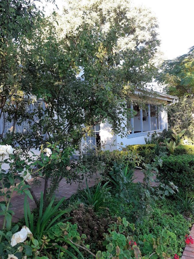 Driftwood Boutique Bed And Breakfast Lobatse Eksteriør billede